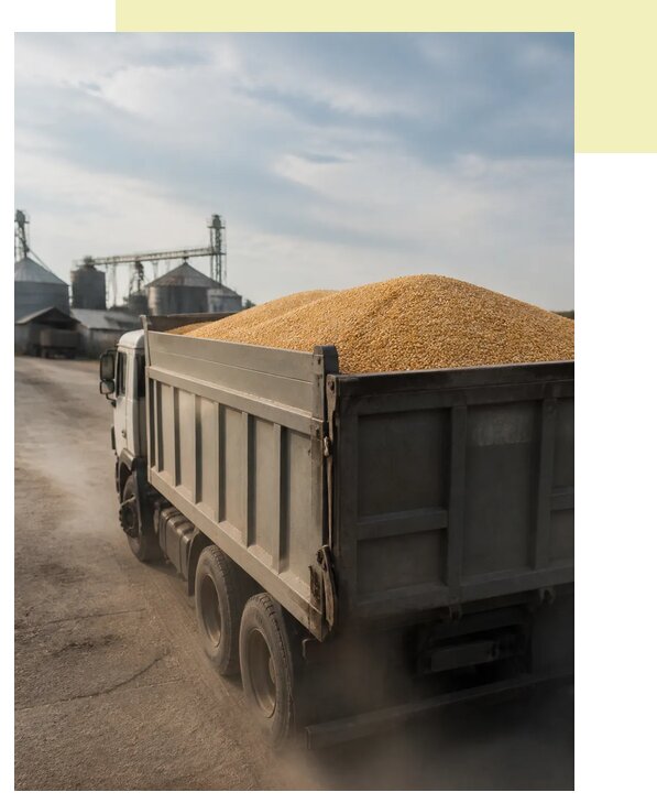 Перевозка сельхозпродукции навалом в Нягань по цене от 3056 р. | Агросервис-Нга