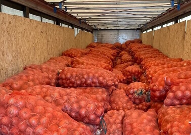 Поставка лука